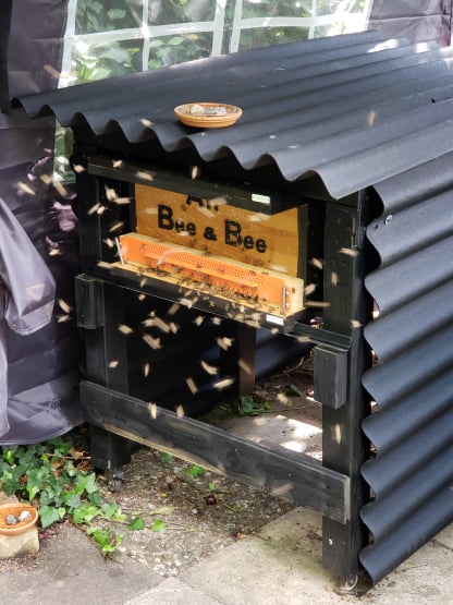 BeeBuddy - Bienenkiste mit Wetterschutz 1