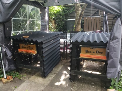 BeeBuddy - Bienenkiste mit Wetterschutz 3