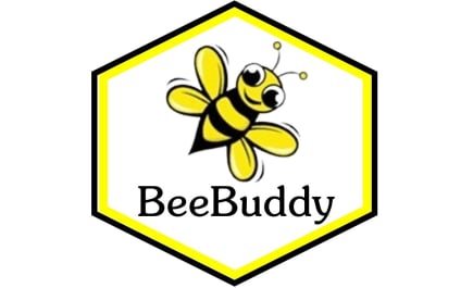 BeeBox24 Bienenschwarm