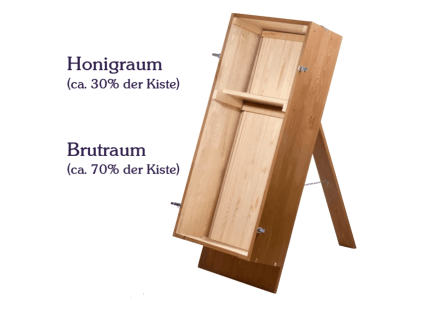 BeeBox24 Bienenschwarm
