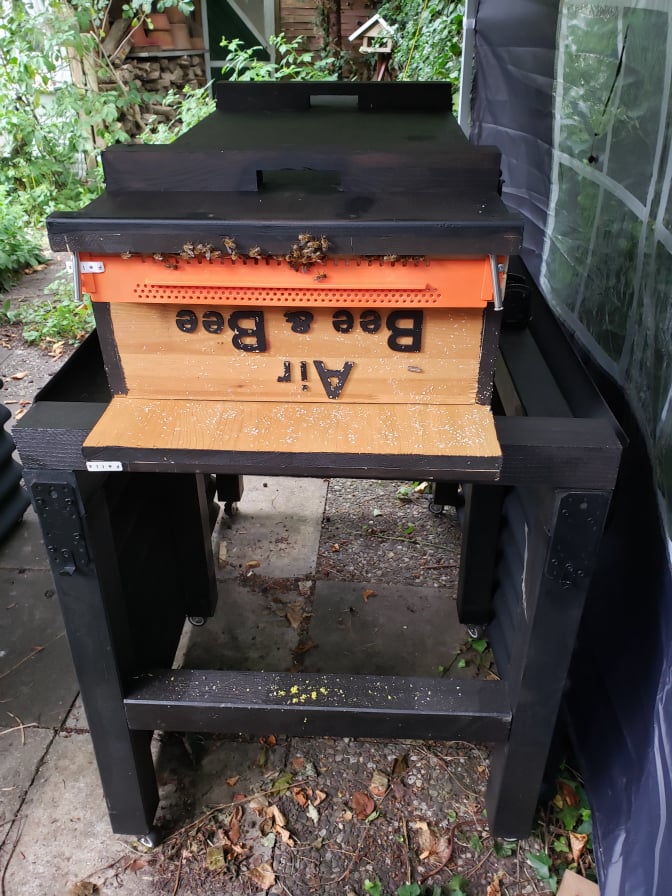 BeeBuddy - Bienenkiste gedreht 2