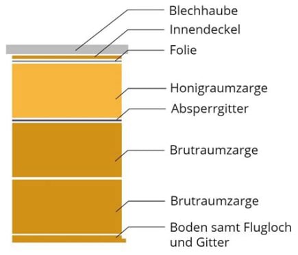BeeBox24 Bienenschwarm